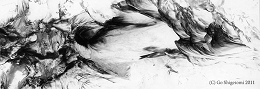 005a.jpg
