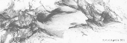 005a.jpg