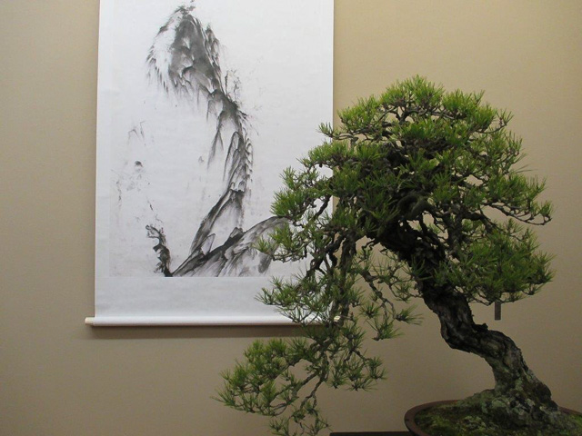 盆栽と水石とのコラボレーション展
